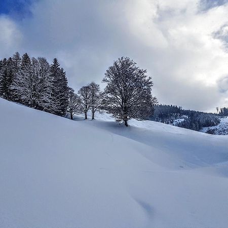 Selbstversorgerhuette Noesslau Alm Dienten am Hochkönig Exterior photo
