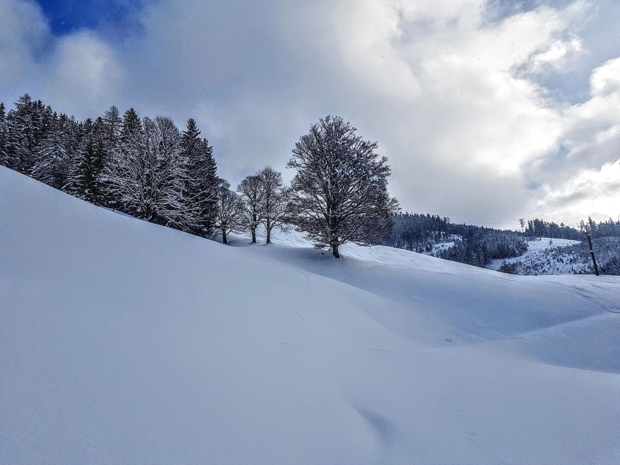 Selbstversorgerhuette Noesslau Alm Dienten am Hochkönig Exterior photo