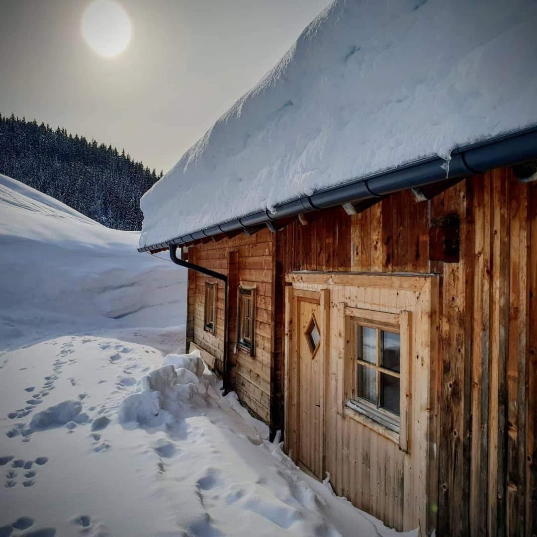 Selbstversorgerhuette Noesslau Alm Dienten am Hochkönig Exterior photo