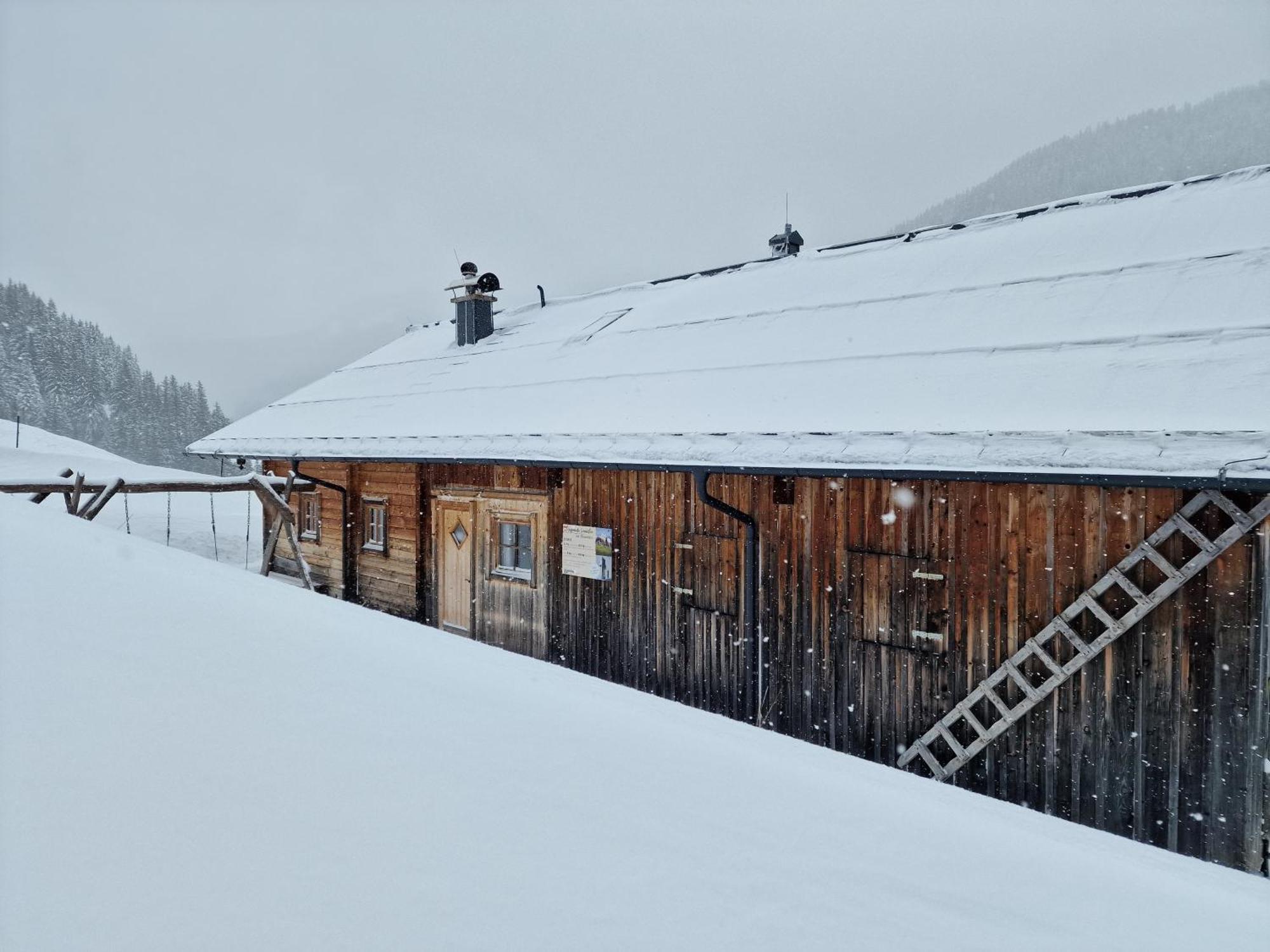 Selbstversorgerhuette Noesslau Alm Dienten am Hochkönig Exterior photo