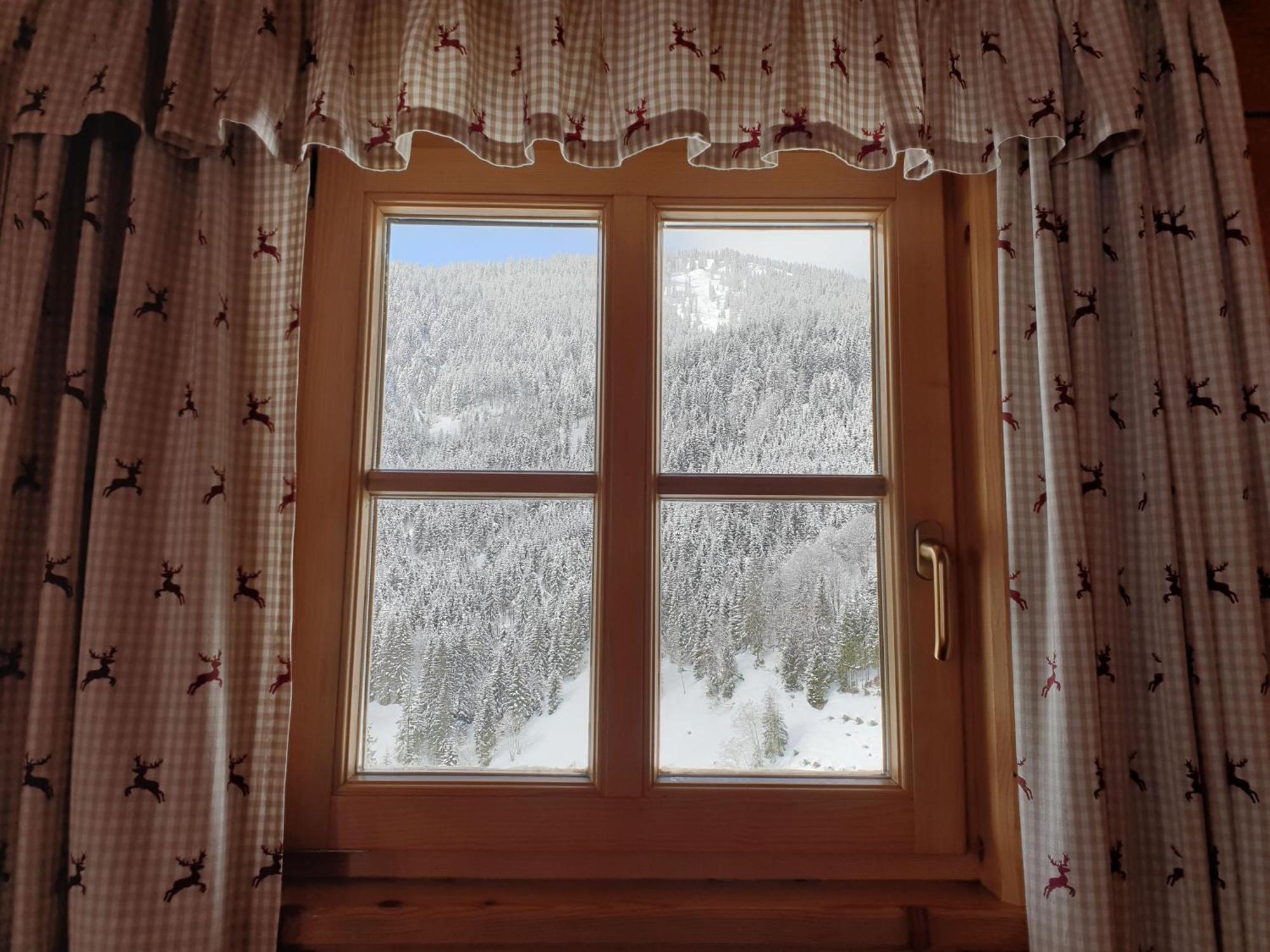 Selbstversorgerhuette Noesslau Alm Dienten am Hochkönig Exterior photo