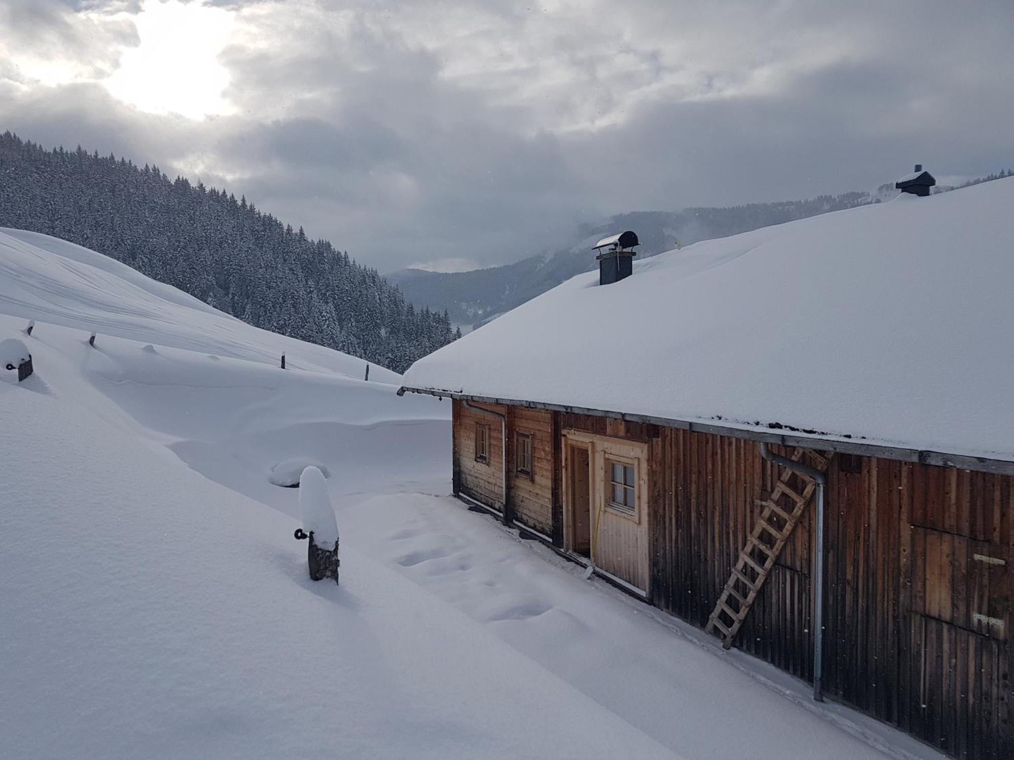 Selbstversorgerhuette Noesslau Alm Dienten am Hochkönig Exterior photo