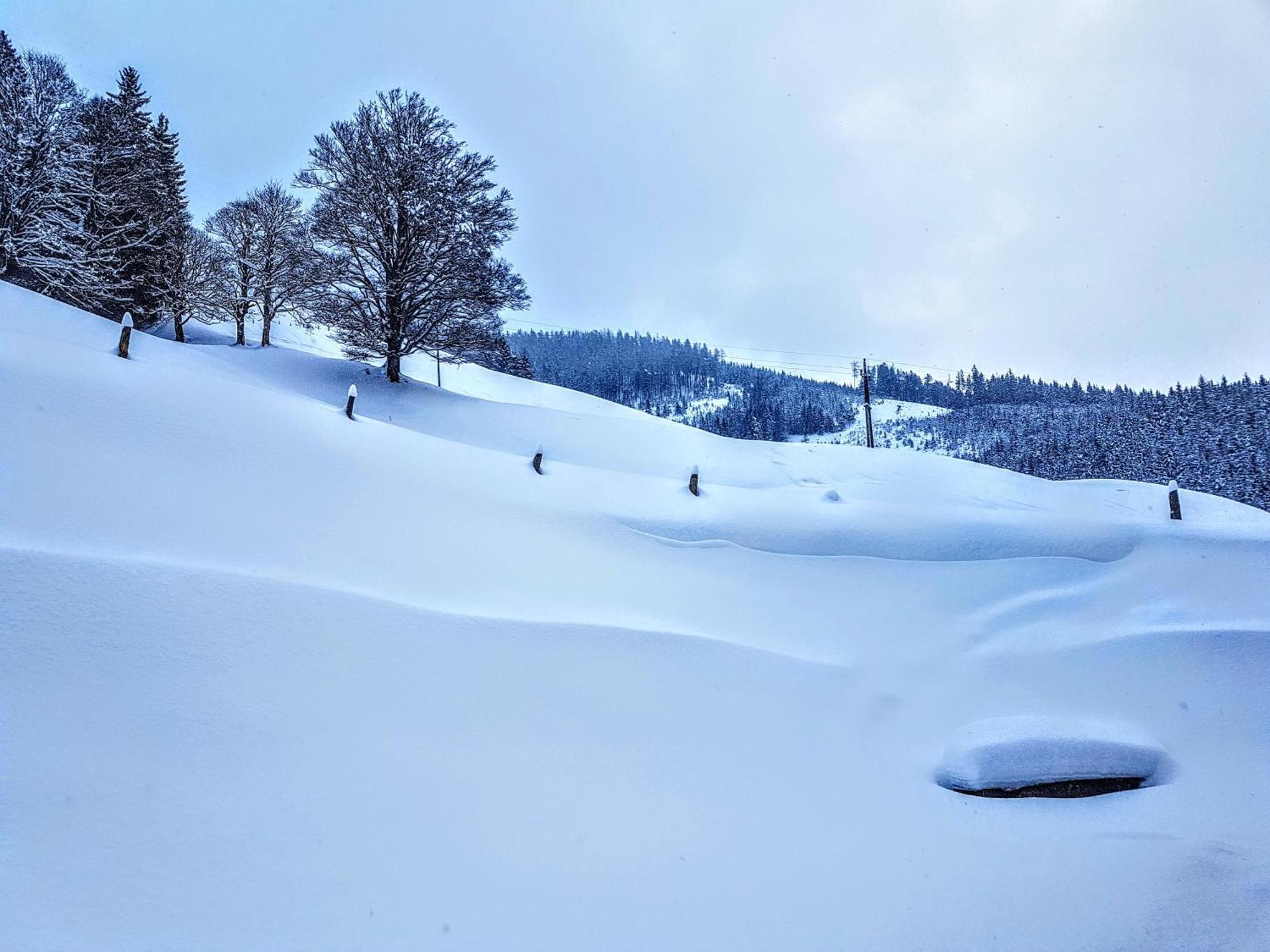 Selbstversorgerhuette Noesslau Alm Dienten am Hochkönig Exterior photo
